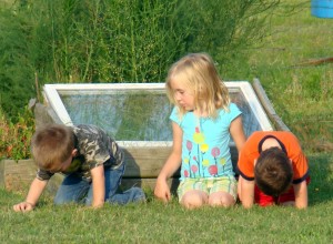 outside kids 6 outside kids 6
