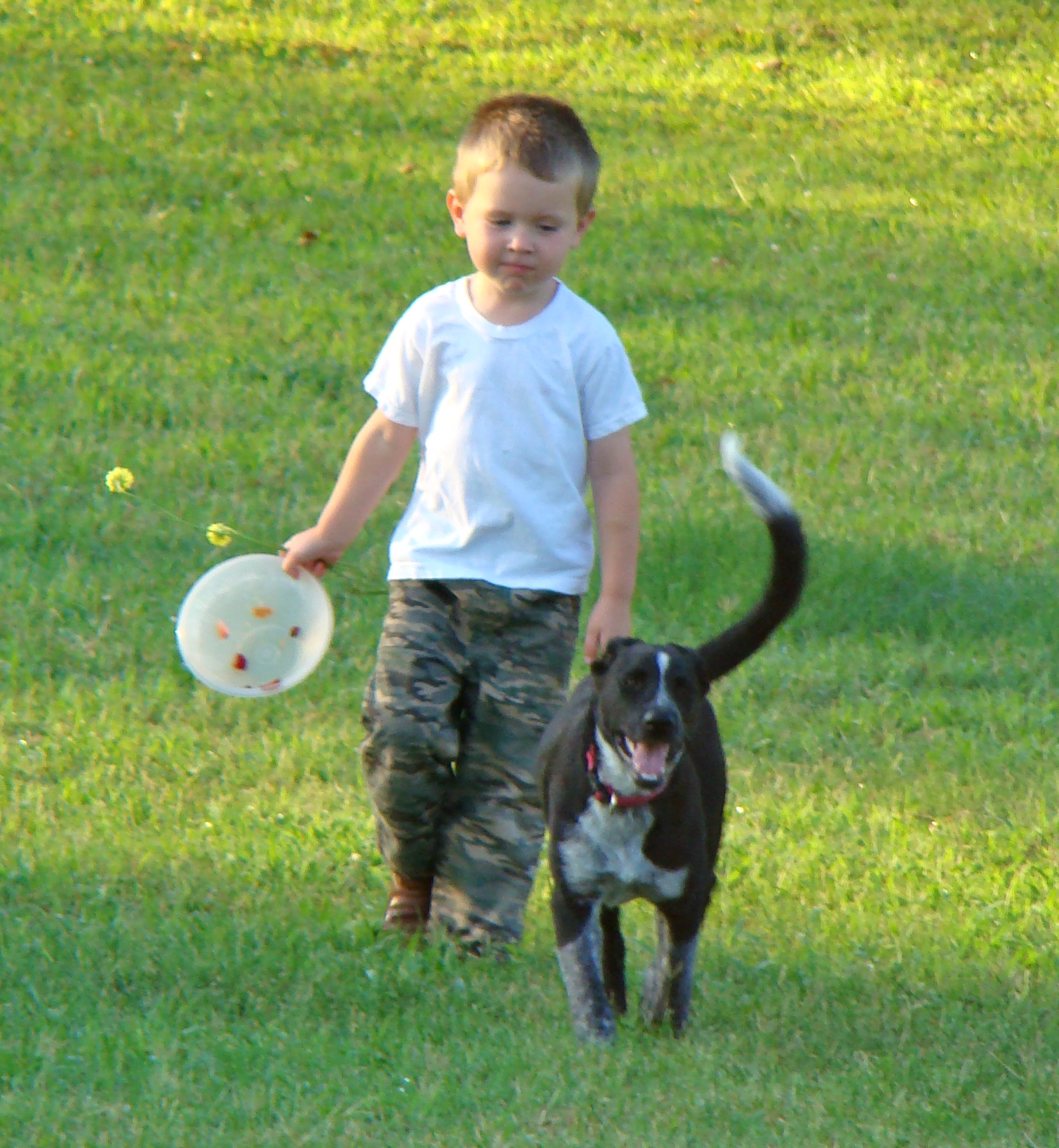 DSC03731 DSC03731