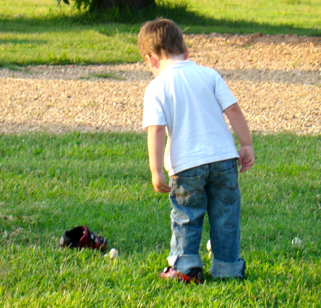 DSC03616 DSC03616
