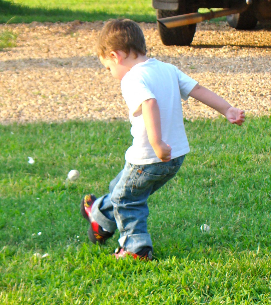 DSC03628 DSC03628