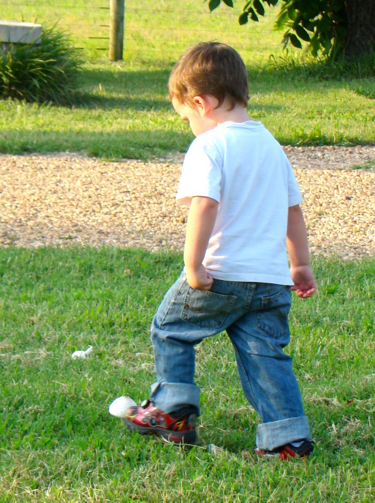 DSC03635 DSC03635