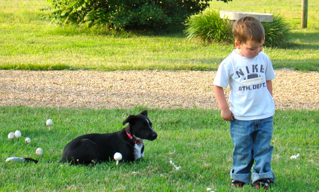 DSC03643 DSC03643