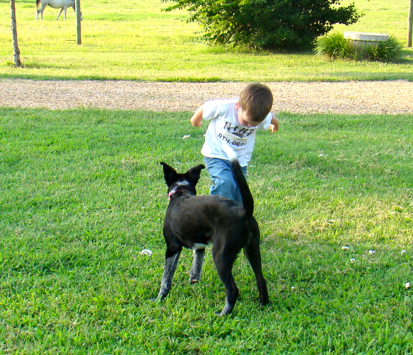 DSC03655 DSC03655