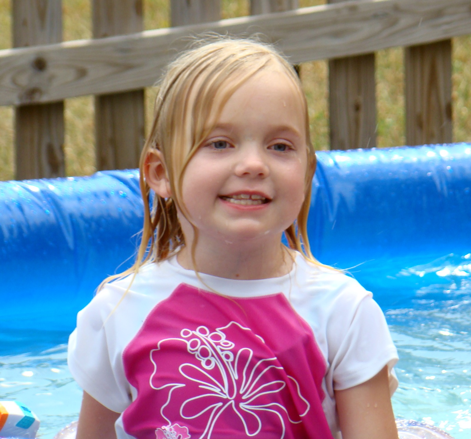 ladybug in the pool 7-2011 ladybug in the pool 7 2011