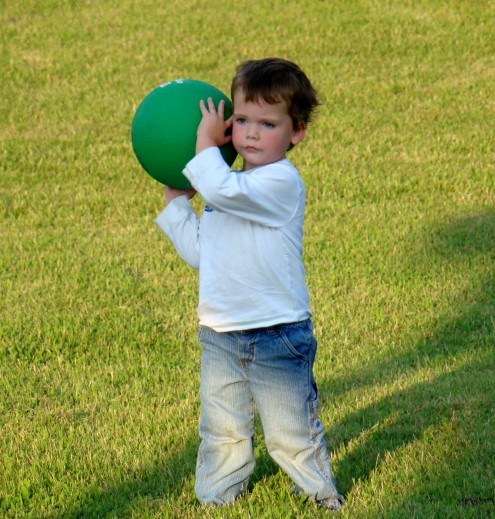 DSC05129 DSC05129