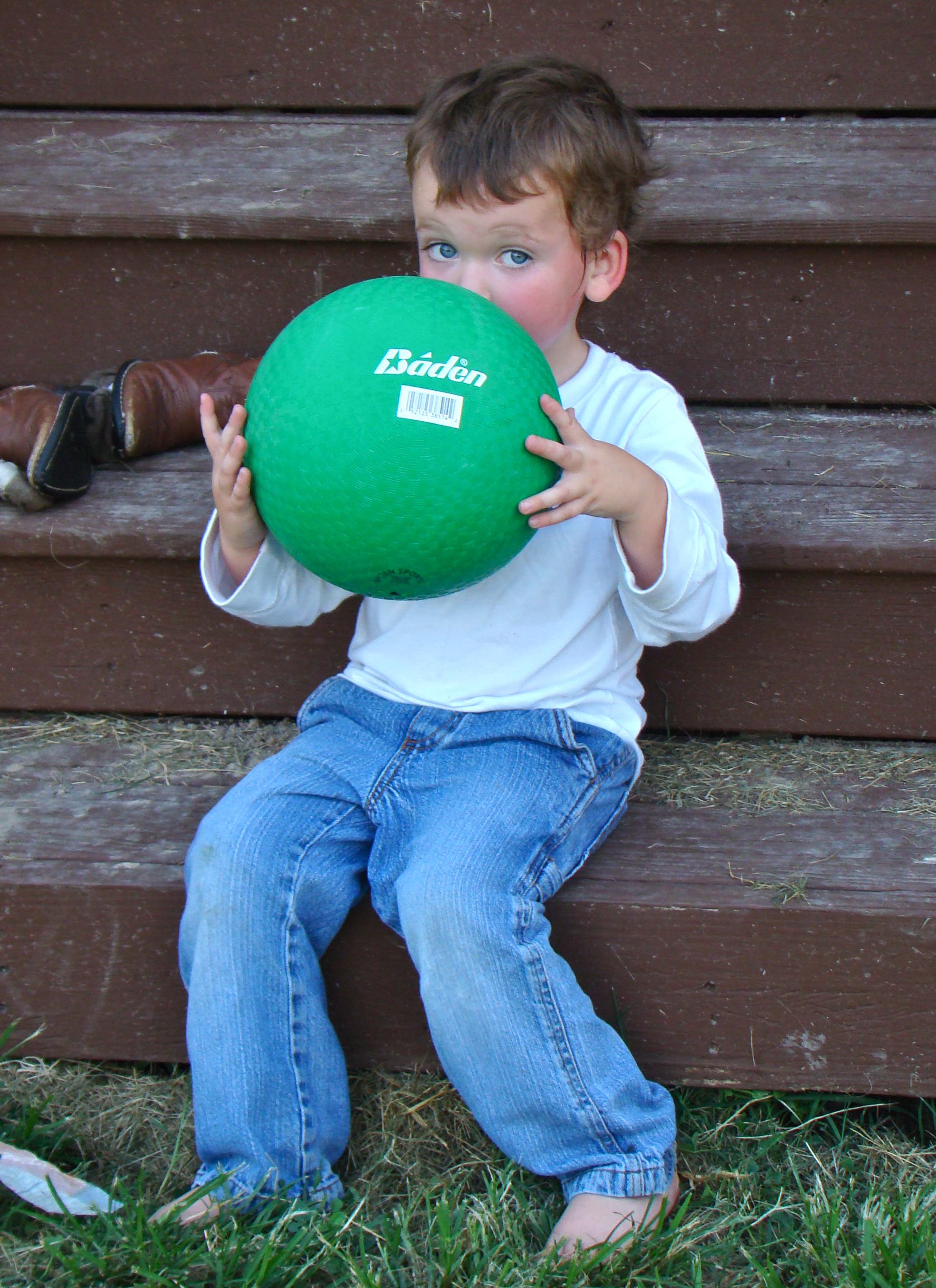 DSC05242 DSC05242