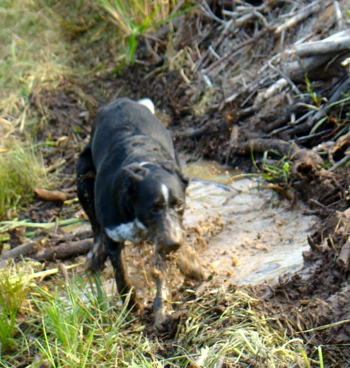 DSC07444 DSC07444