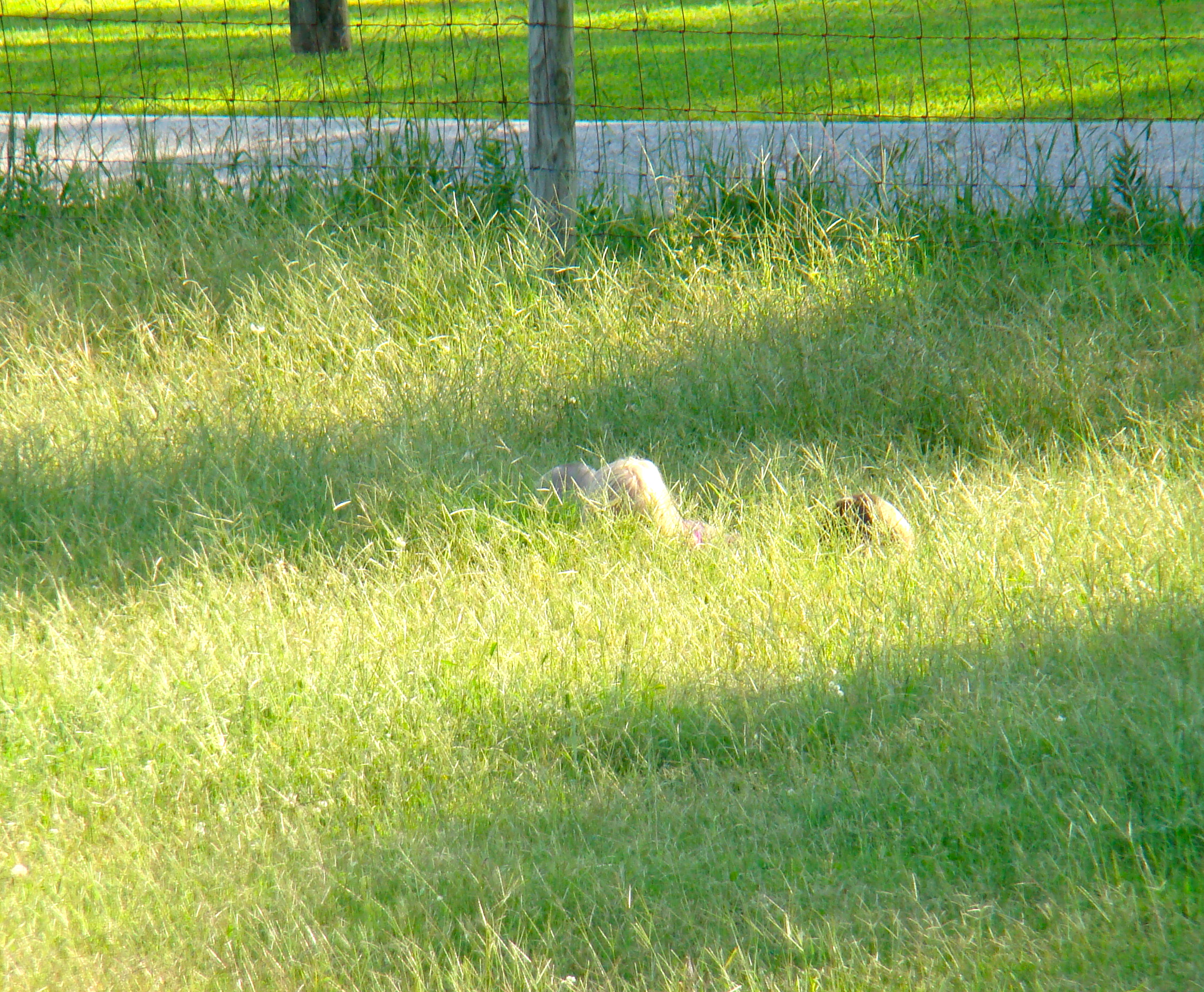 DSC07651 DSC07651