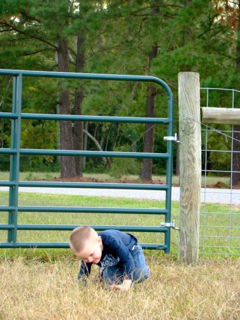DSC09210 DSC09210
