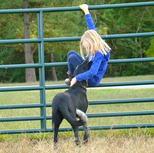 DSC09220 DSC09220