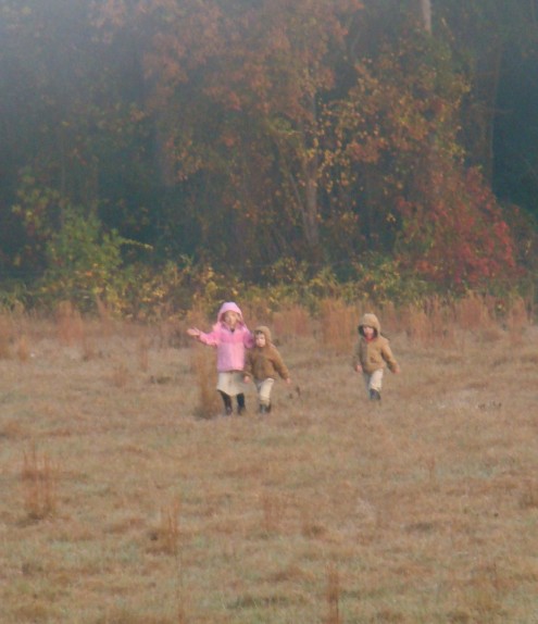 DSC00246 DSC00246
