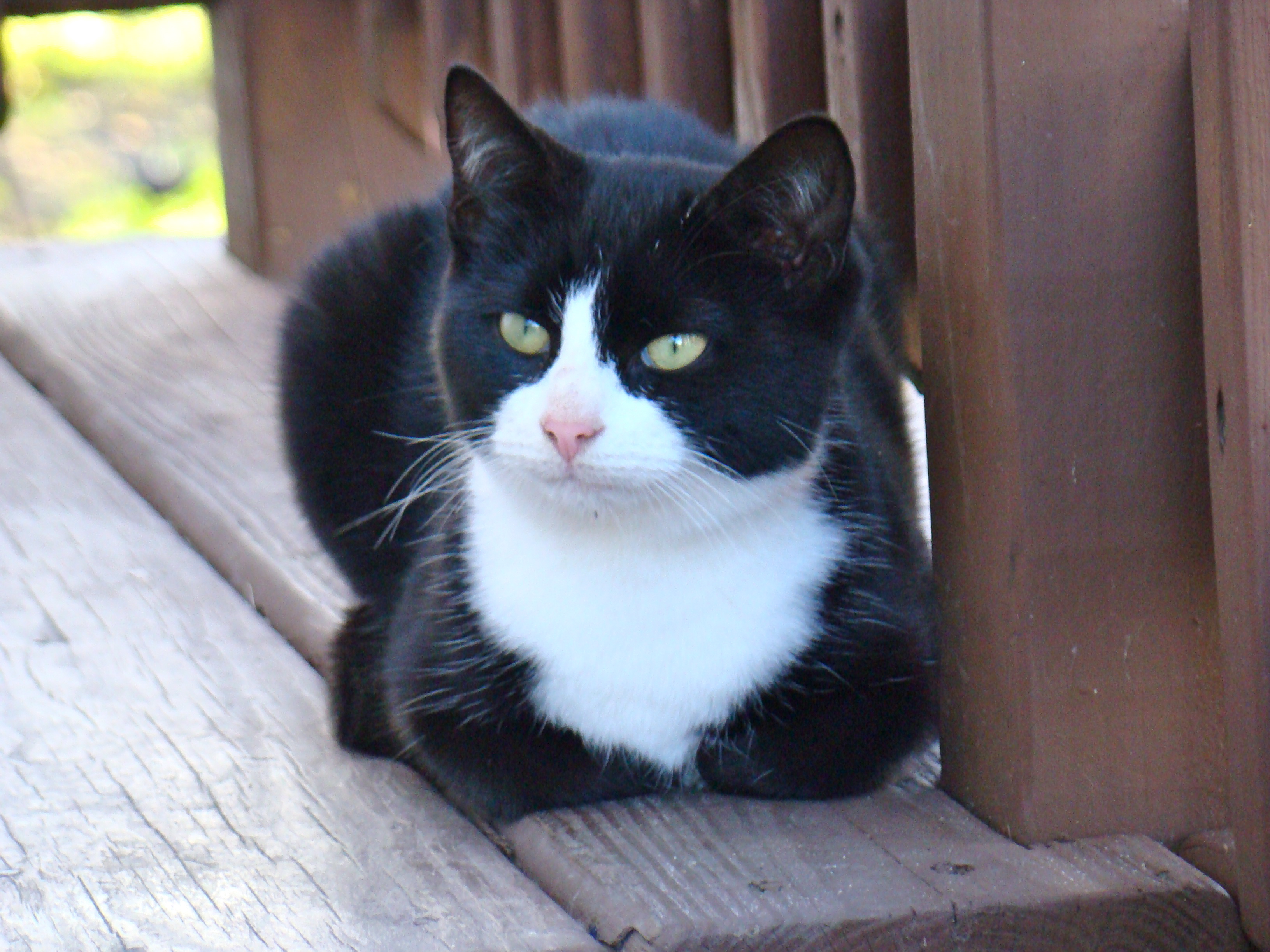 DSC00279 DSC00279