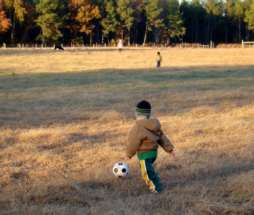 DSC00390 DSC00390