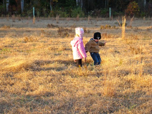 DSC00408 DSC00408