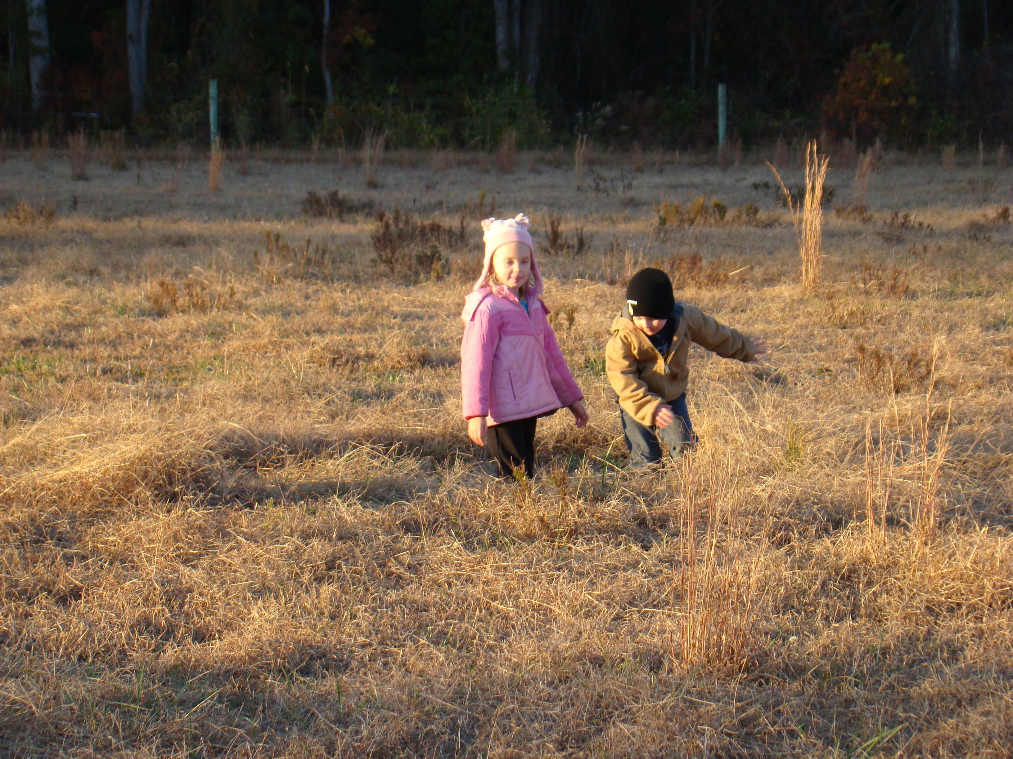 DSC00409 DSC00409