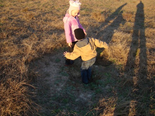 DSC00413 DSC00413