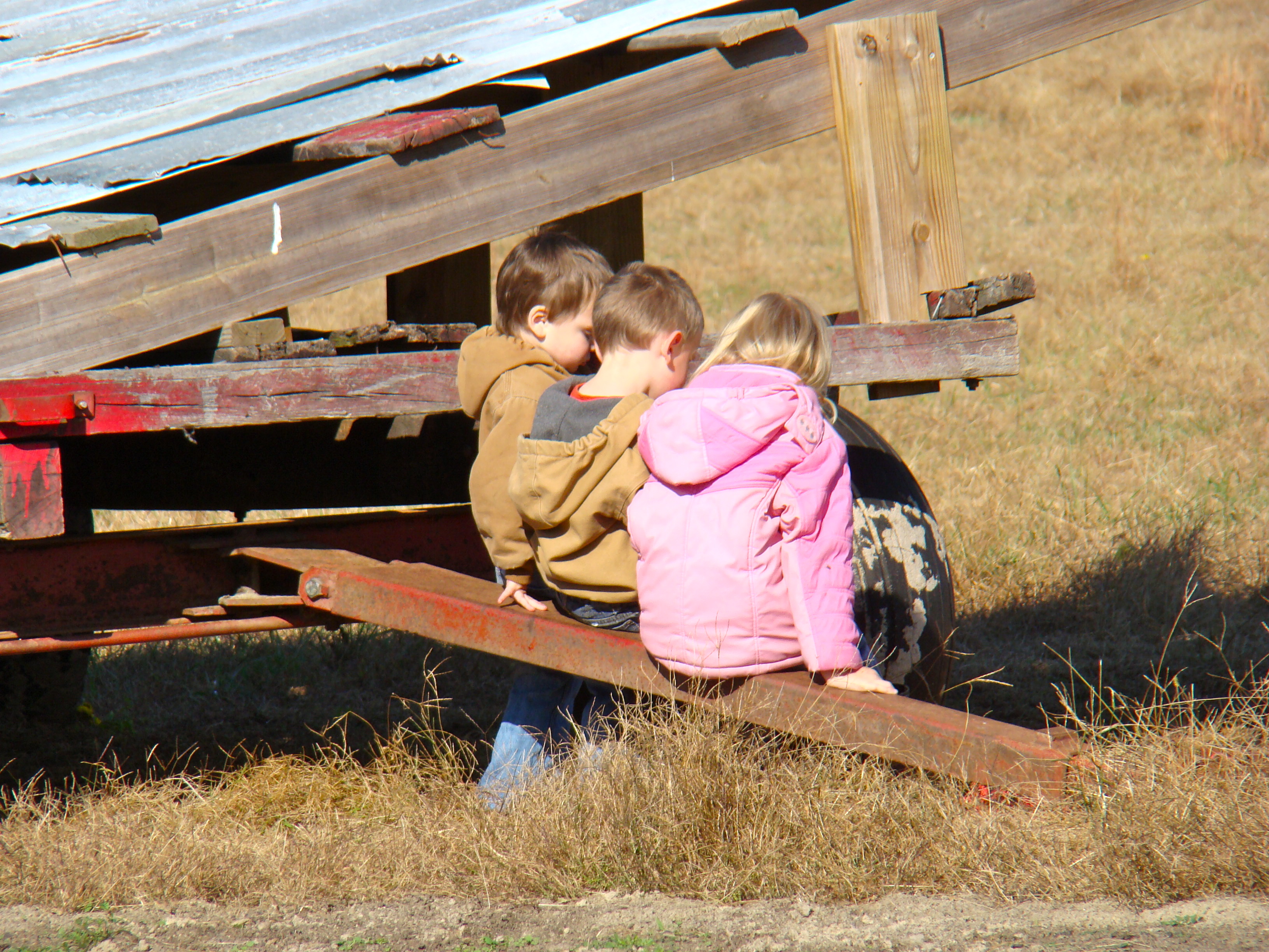 DSC00565 DSC00565