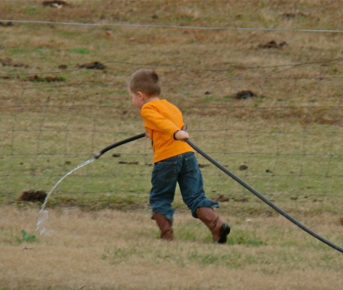 DSC00650 DSC00650