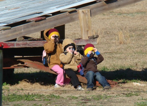 spies (2) spies 2