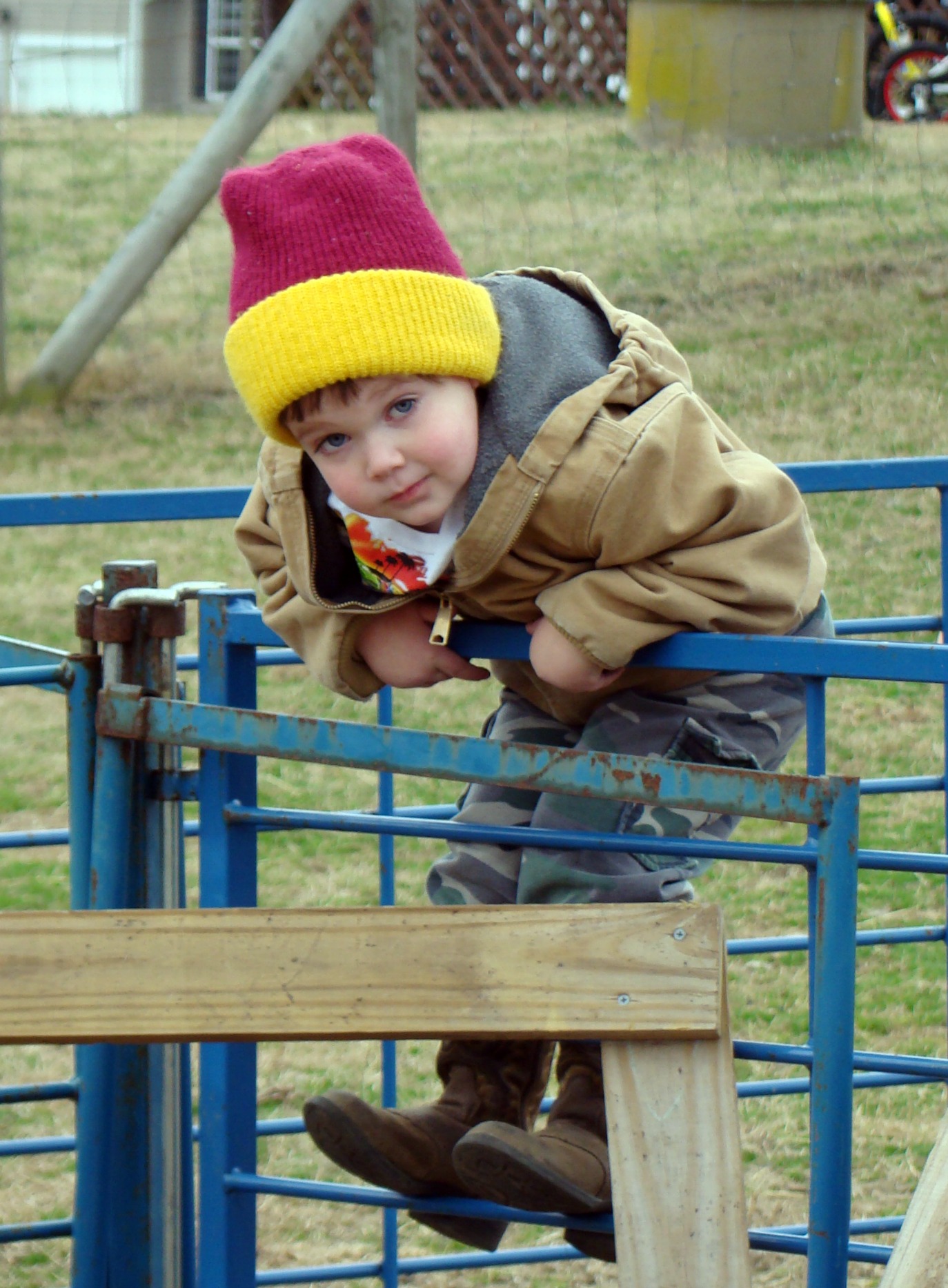 farm (1) farm 1
