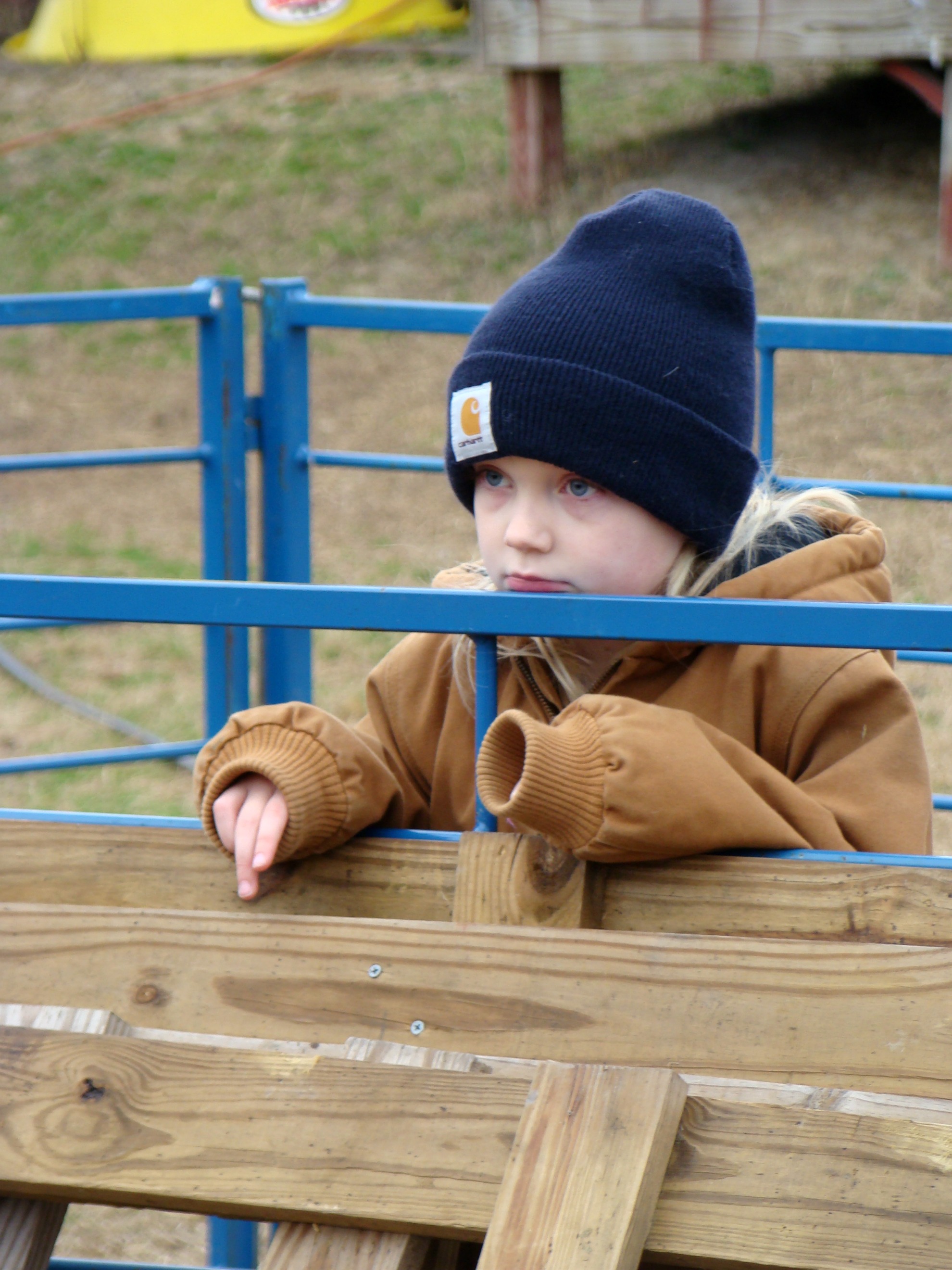 farm (2) farm 2