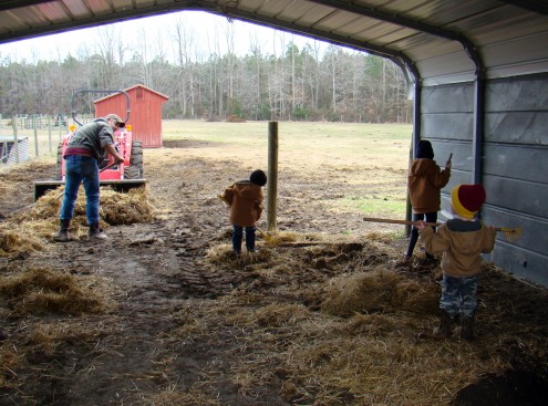 farm (4) farm 4