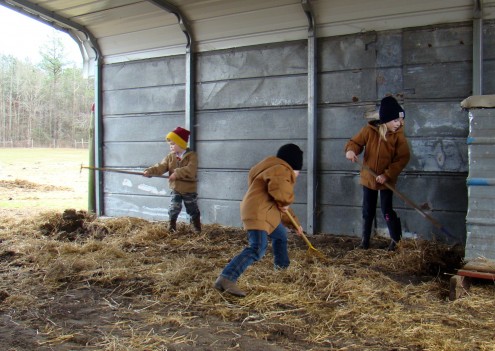 farm (5) farm 5