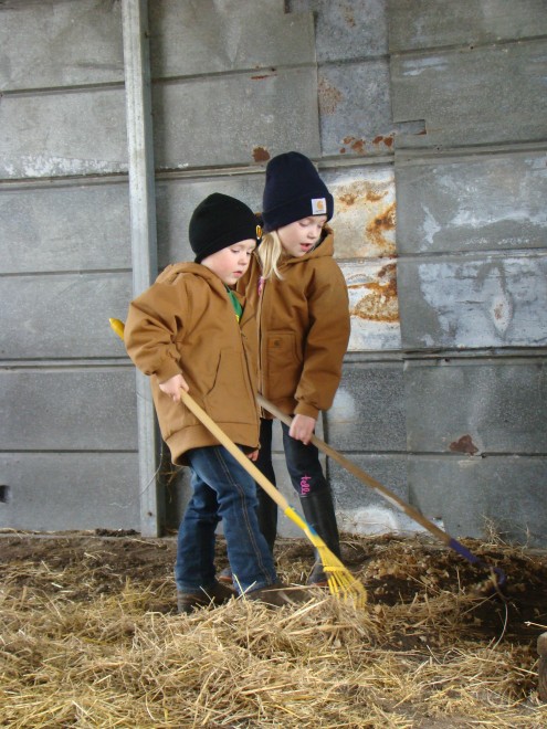 farm (6) farm 6