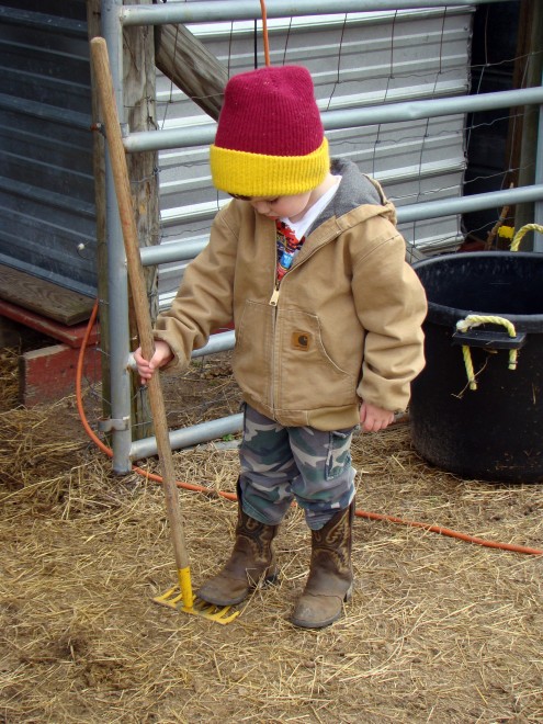 farm (8) farm 8