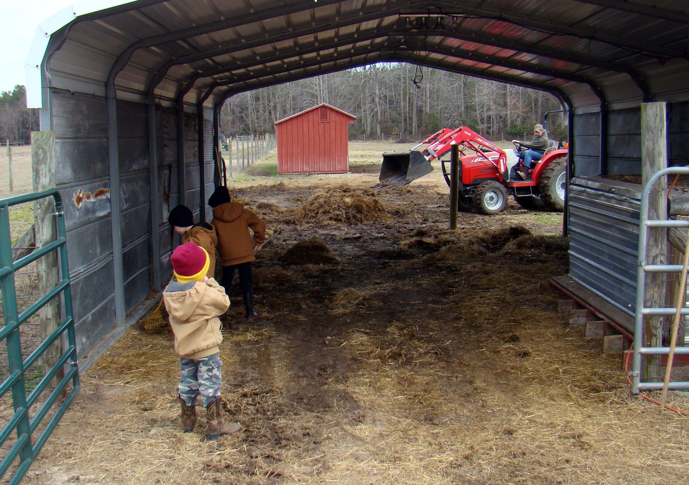 farm (3) farm 31