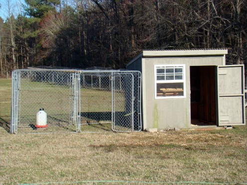 chicken coop 5 chicken coop 5