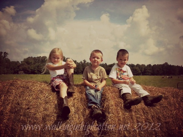 kids on hay bales kids on hay bales
