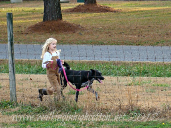 farm life 3