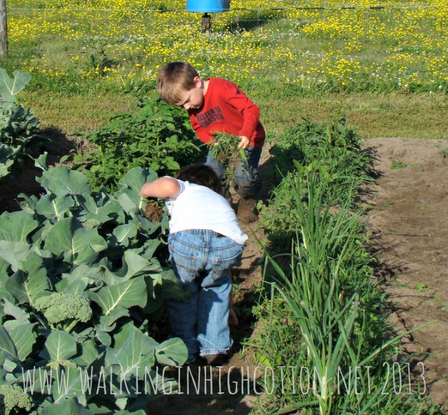 Everything Food Prep {Blog Hop} -- Some Tips for the Super-Busy Momma 3 food prep 1