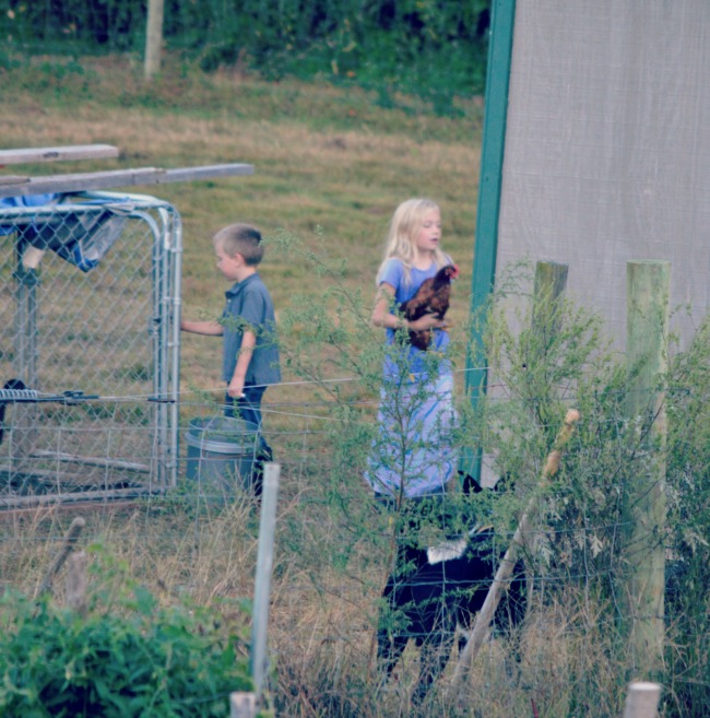 Chores in Skirts...and Other Daily Adventures 9 chasing chickens 4