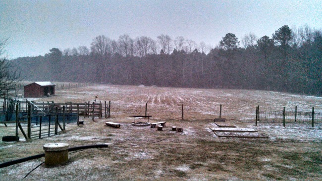 In the Snow...the Daily Farm Adventures 3 snowing 2