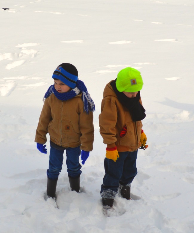 In the Snow...the Daily Farm Adventures 7 snowing 6