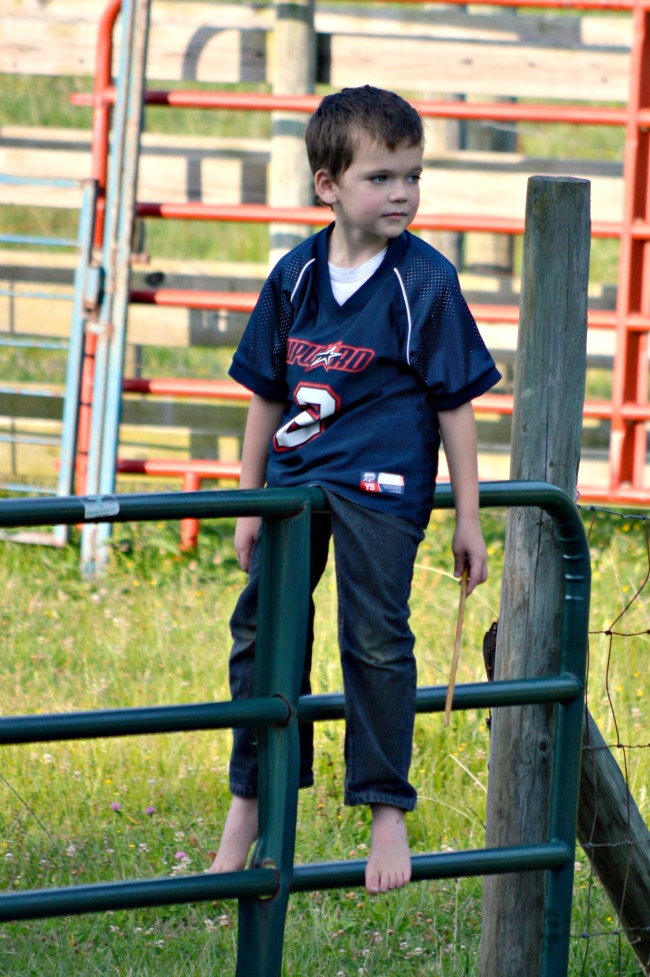 When Things Change...the Daily Farm Adventures {55} 1 boys on gate 2