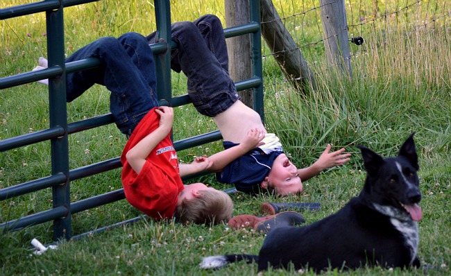 When Things Change...the Daily Farm Adventures {55} 7 boys on gate 3