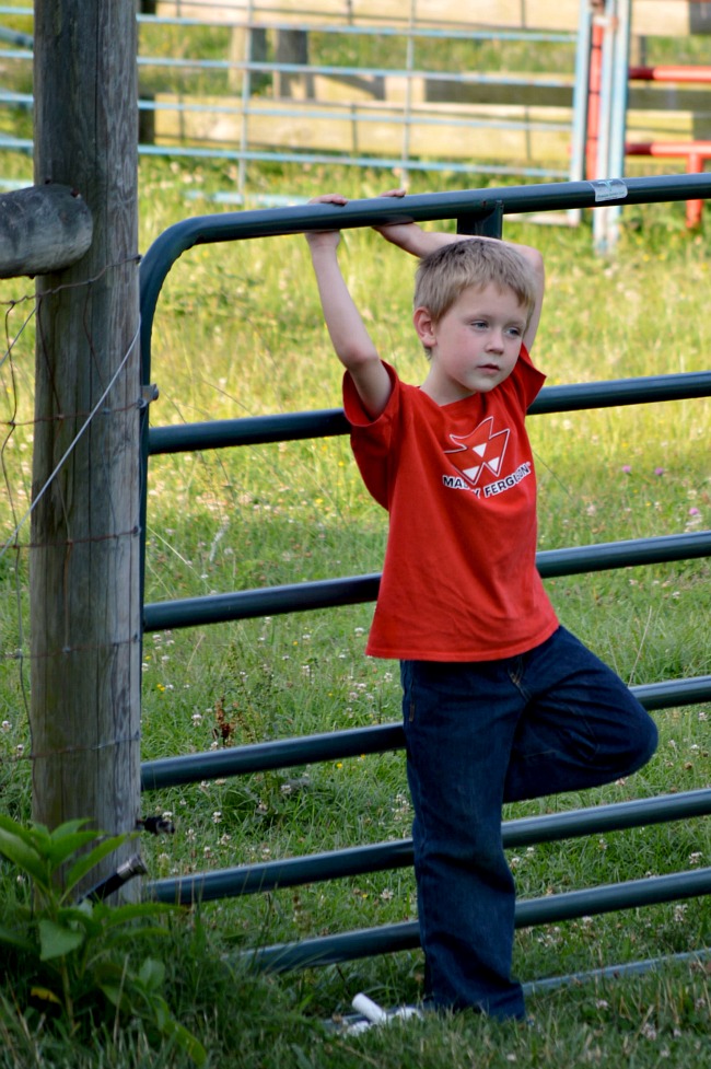 When Things Change...the Daily Farm Adventures {55} 3 boys on gate 4
