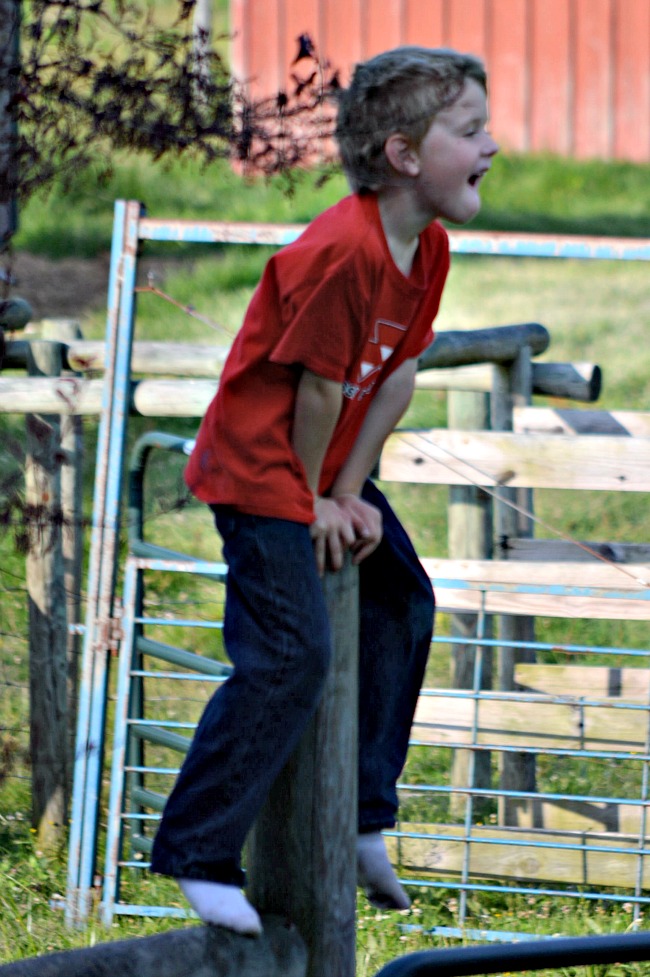 When Things Change...the Daily Farm Adventures {55} 13 boys on gate 7