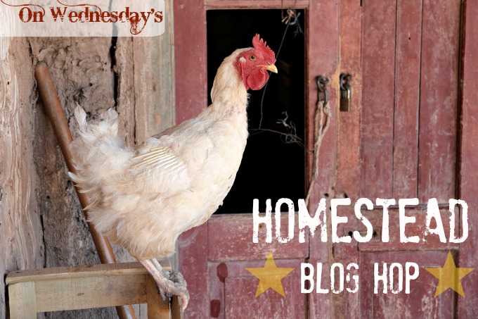 Homestead Blog Hop Me