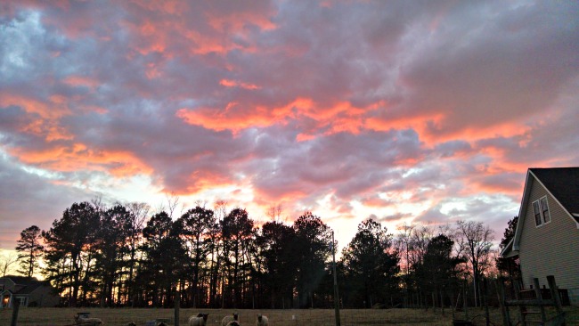 A Little Encouragement on the Homestead...the Daily Farm Adventures {80} 11 sunset sky