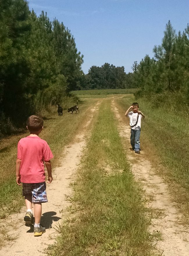 Ending our Summer Vacation 15 hiking 02