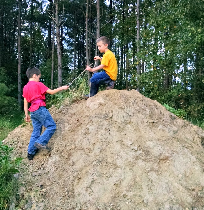 Dirt, Dogs, and Raising Warriors...the Daily Farm Adventures {91} 9 dirt and sticks 06