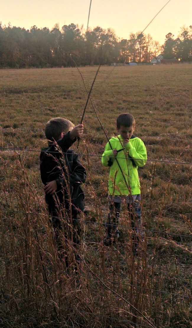 Those Boys...the Daily Farm Adventures {95} 5 those boys 03