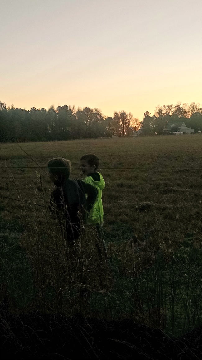 Those Boys...the Daily Farm Adventures {95} 7 those boys 04