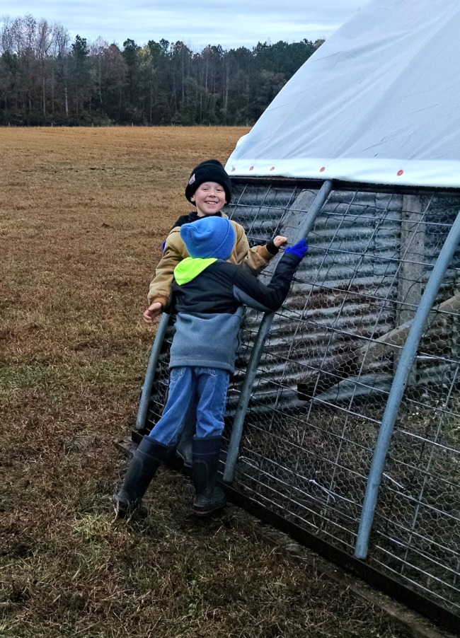 In the Cold, In the Wet...the Daily Farm Adventures {94} 1 winter prep 01