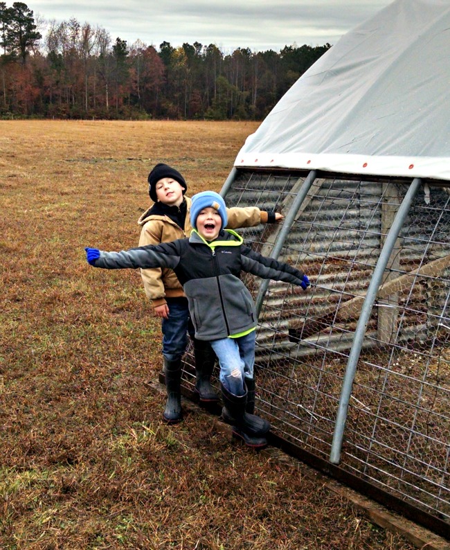 In the Cold, In the Wet...the Daily Farm Adventures {94} 3 winter prep 02