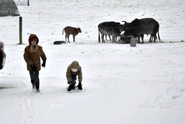 Hauling Water, and Cold Farm Kids...the Daily Farm Adventures {100} 1 winter water 05